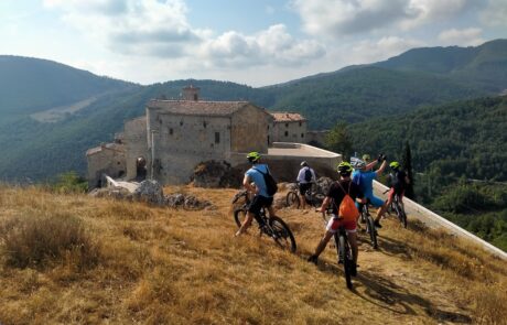 1762341967329 Not Only Travels