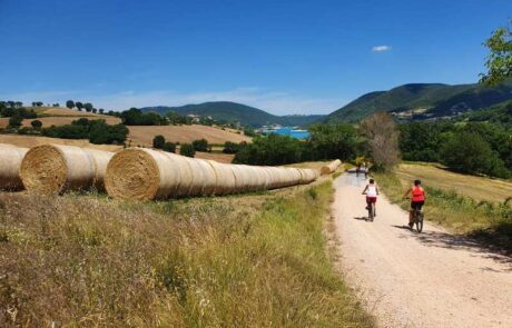 1762341967336 Not Only Travels