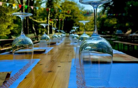 60ea202d-82c5-4ee4-8821-56f943dfecb3 Not Only Travels