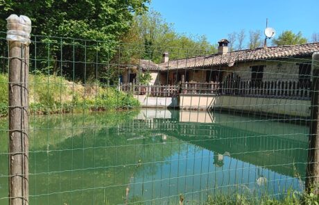 89e0b68e-4392-4a84-8184-e8e285c0da93 Not Only Travels