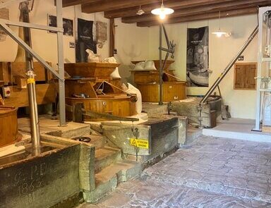 fefc830e-b597-4908-9a0b-1ec128ec9675 Not Only Travels